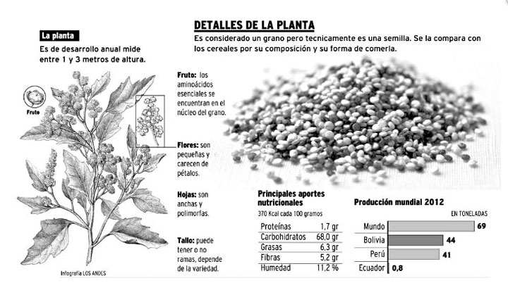 http://us.123rf.com/400wm/400/400/ildipapp/ildipapp1106/ildipapp110600094/9788810-granos-de-quinua-cruda-de-rojo-y-blanco-en-saco-de-yute-en-madera-la-quinua-es-cultivada-en-la-regio.jpg
